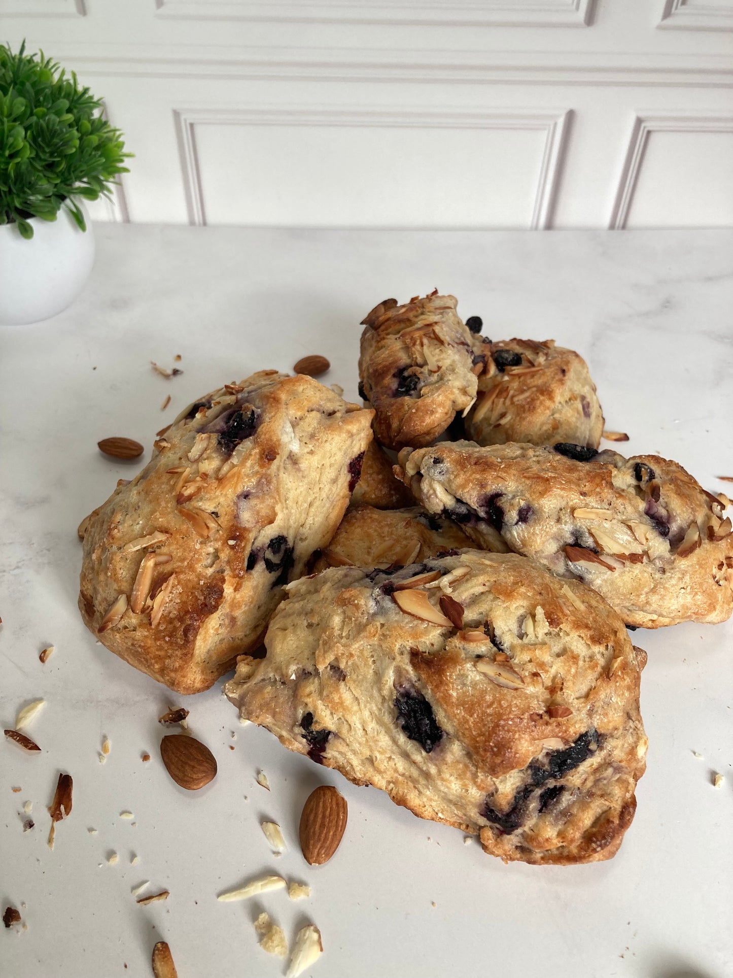 Scones de Blue Berry