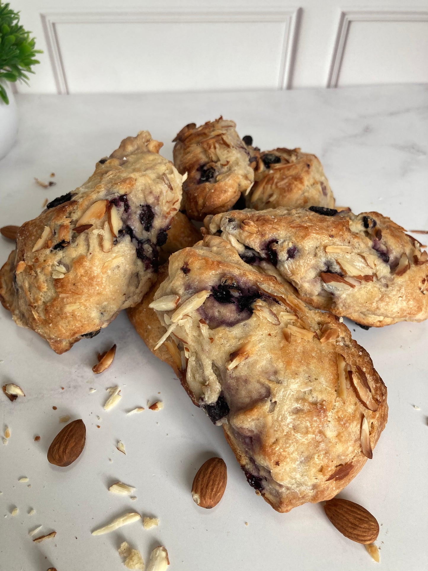 Scones de Blue Berry