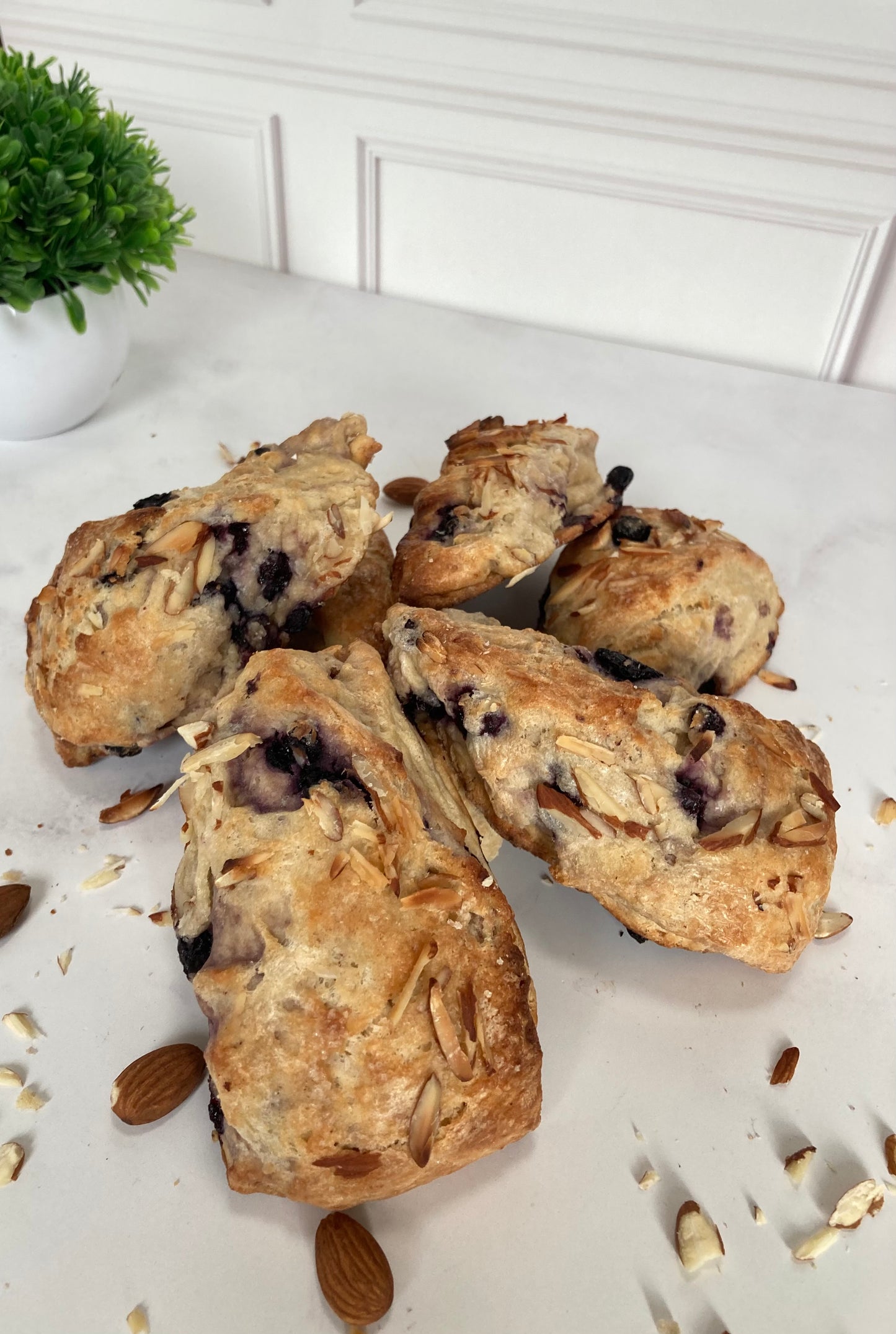 Scones de Blue Berry