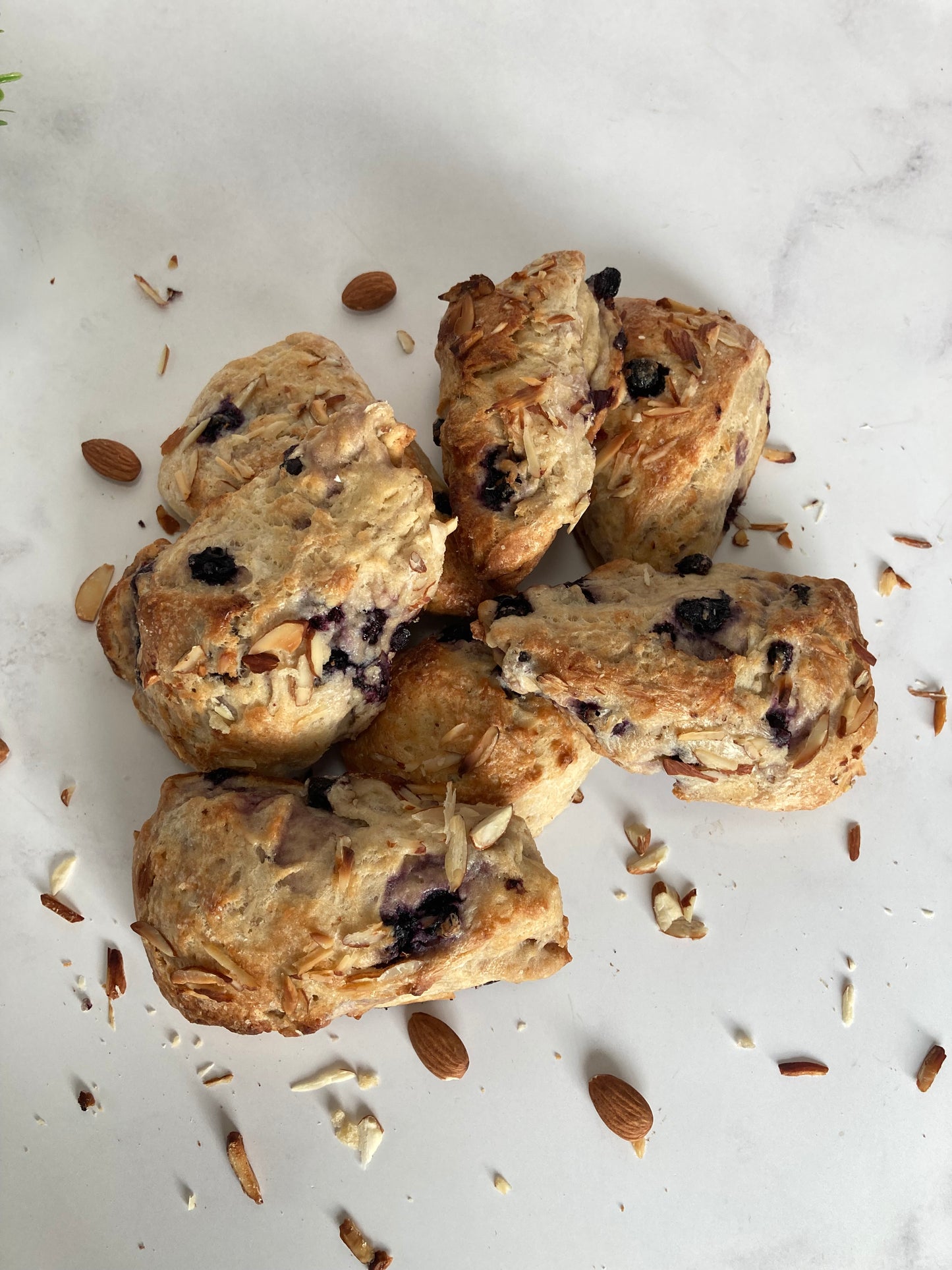 Scones de Blue Berry